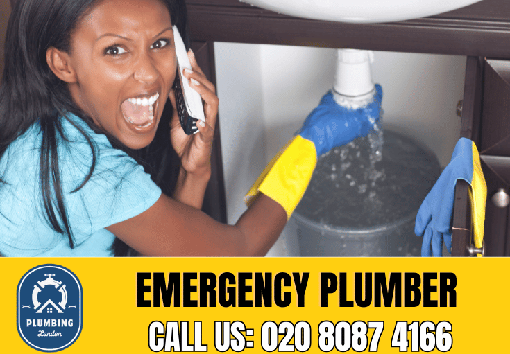 emergency plumber Golders Green