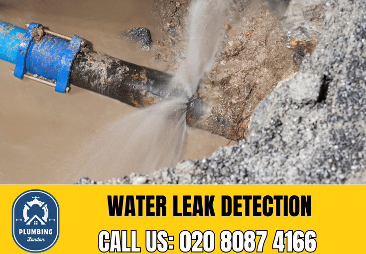 leak detection Golders Green